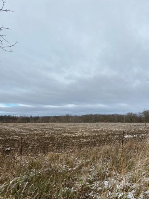 County Line Road Homer, MI 49245 - Photo 1 of 17 IMG_4318