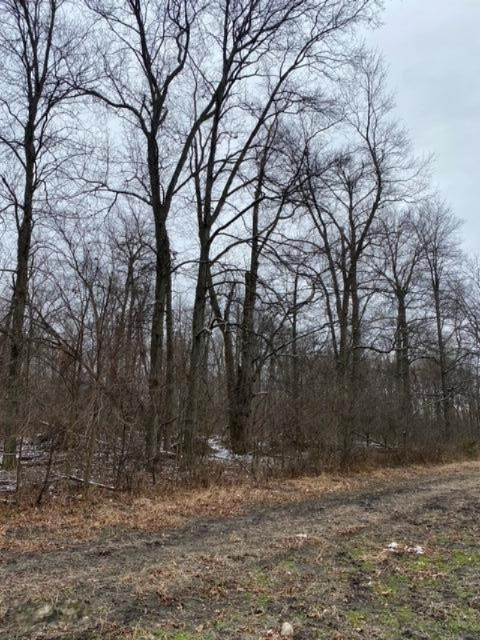 County Line Road Homer, MI 49245 - Photo 15 of 17 IMG_4333