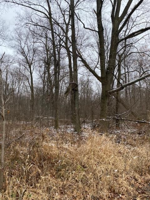 County Line Road Homer, MI 49245 - Photo 17 of 17 IMG_4331