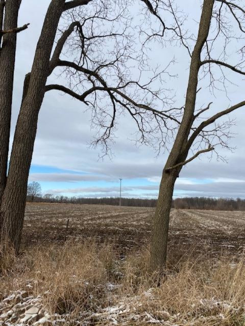 County Line Road Homer, MI 49245 - Photo 3 of 17 IMG_4319