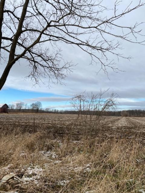 County Line Road Homer, MI 49245 - Photo 4 of 17 IMG_4320