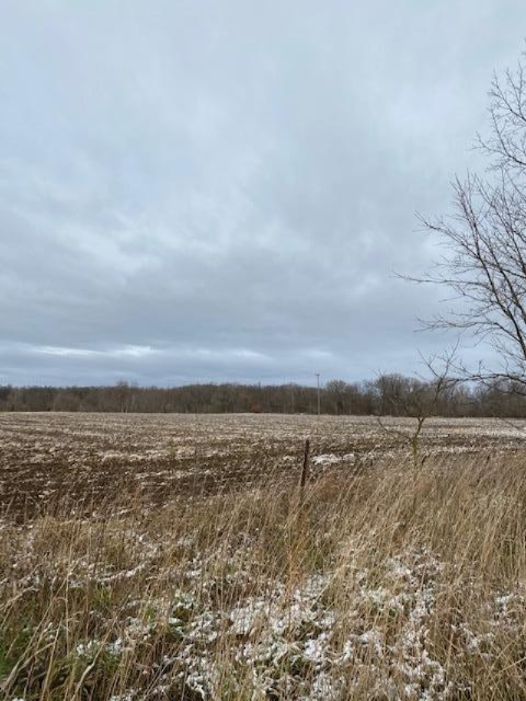 County Line Road Homer, MI 49245 - Photo 5 of 17 IMG_4321