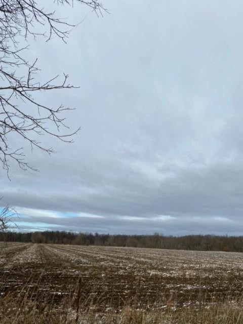 County Line Road Homer, MI 49245 - Photo 6 of 17 IMG_4322