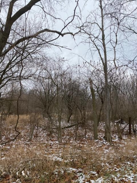 County Line Road Homer, MI 49245 - Photo 8 of 17 IMG_4324