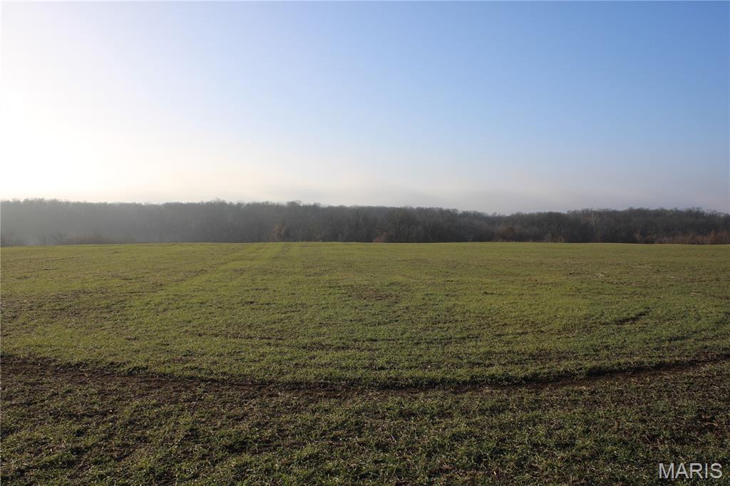 8 Sharps Place Perry, MO 63462 - Photo 2 of 3