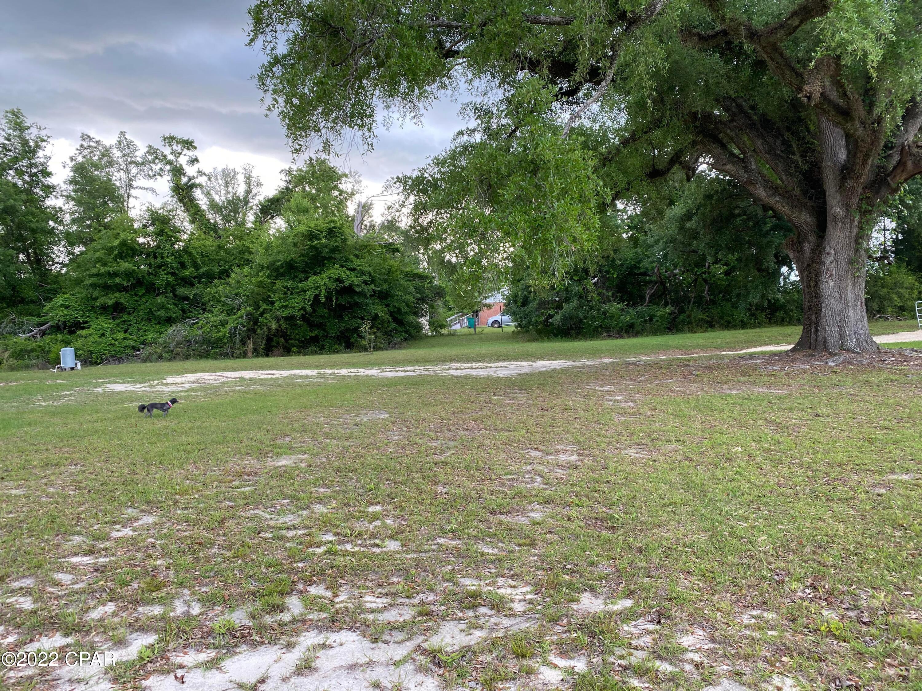 2147 Bethlehem Road Cottondale, FL 32431 - Photo 10 of 38