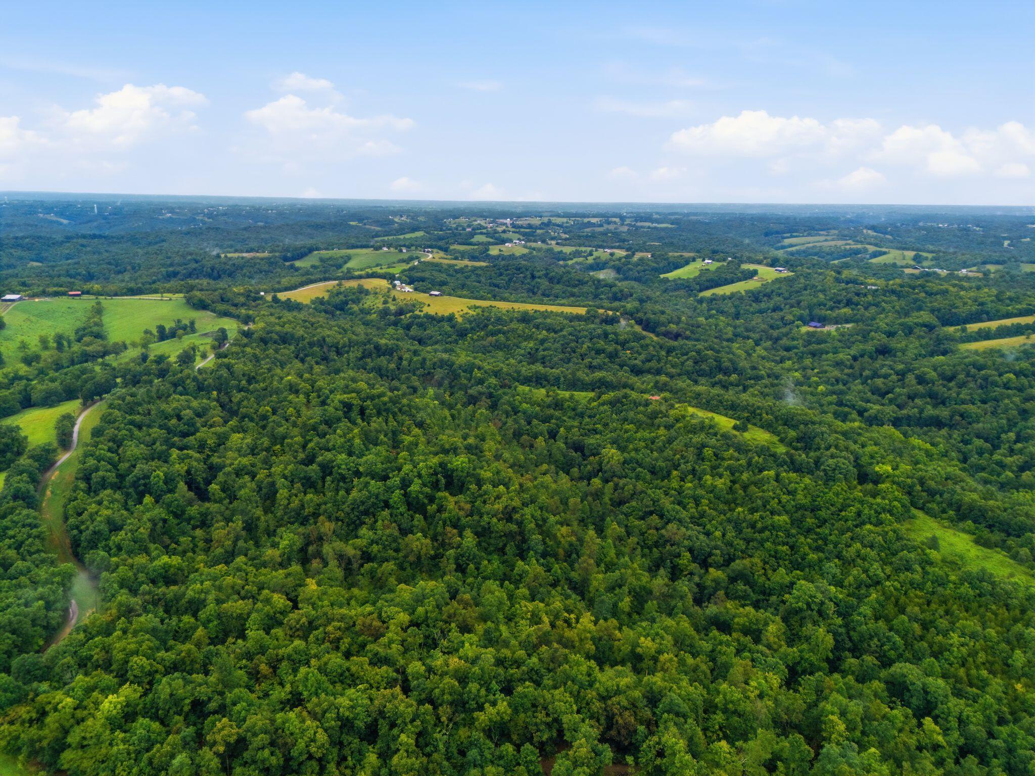 165 Rye Road Mount Olivet, KY 41064 - Photo 4 of 11 5_dji_20260812141812_0123_d
