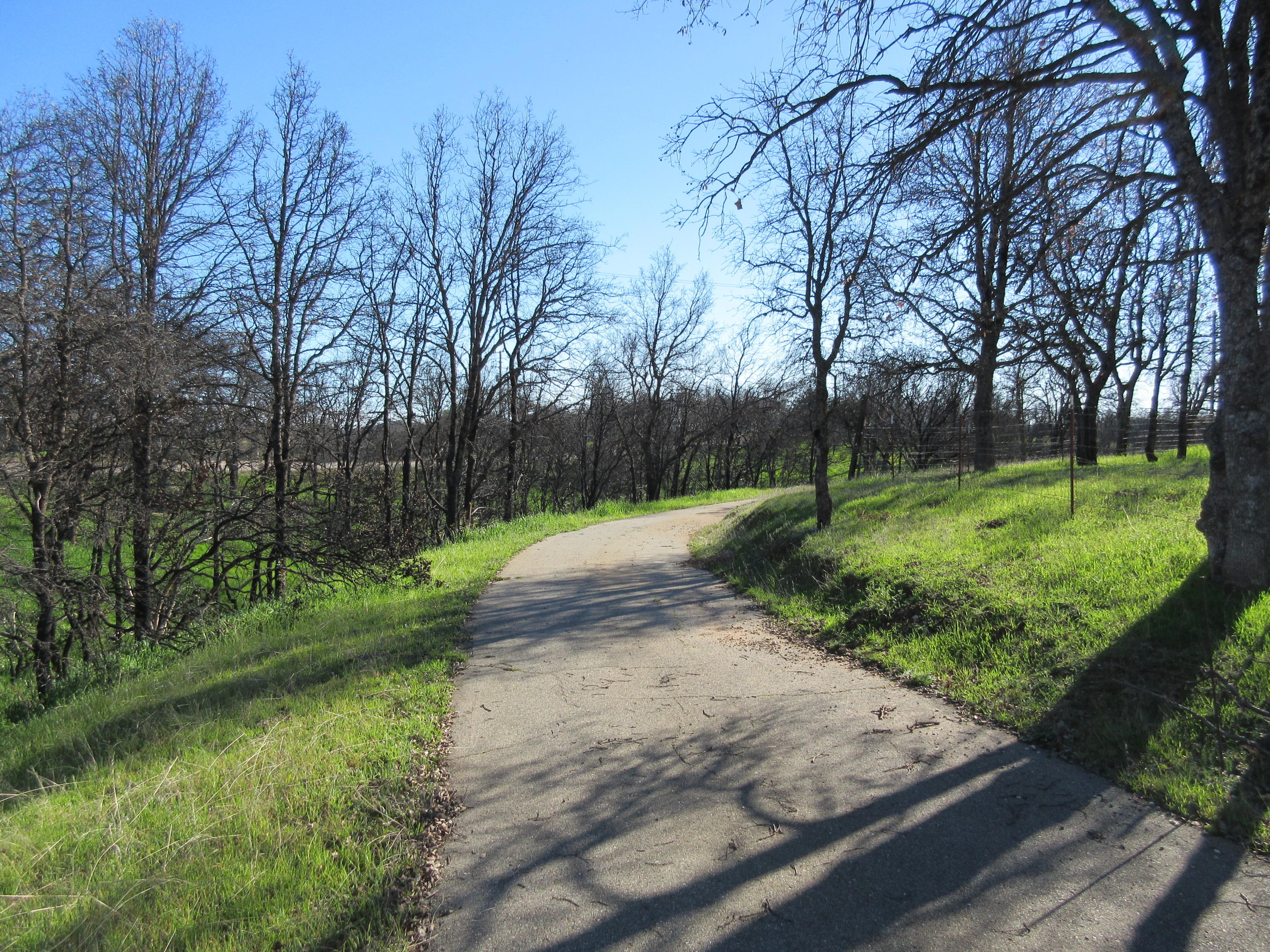12753 Gas Point Road Igo, CA 96047 - Photo 16 of 40 IMG_0405