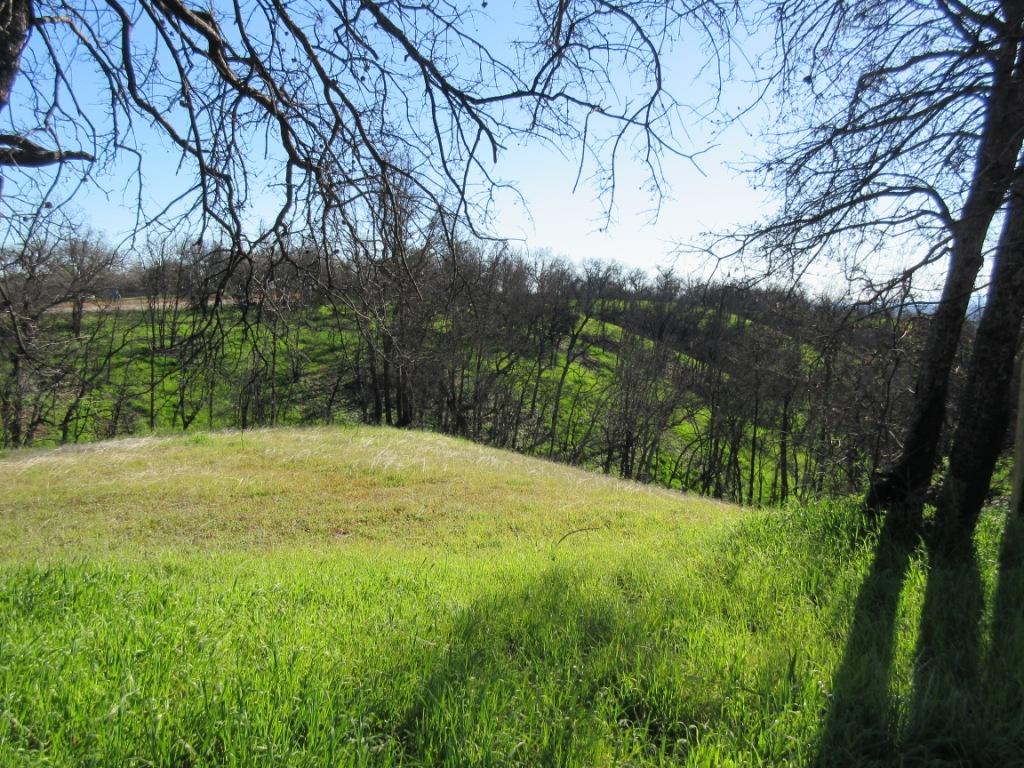 12753 Gas Point Road Igo, CA 96047 - Photo 18 of 40 IMG_0407