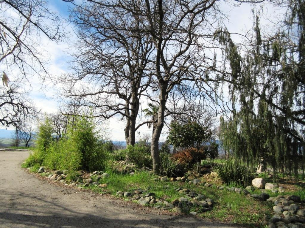 12753 Gas Point Road Igo, CA 96047 - Photo 2 of 40 IMG_0478