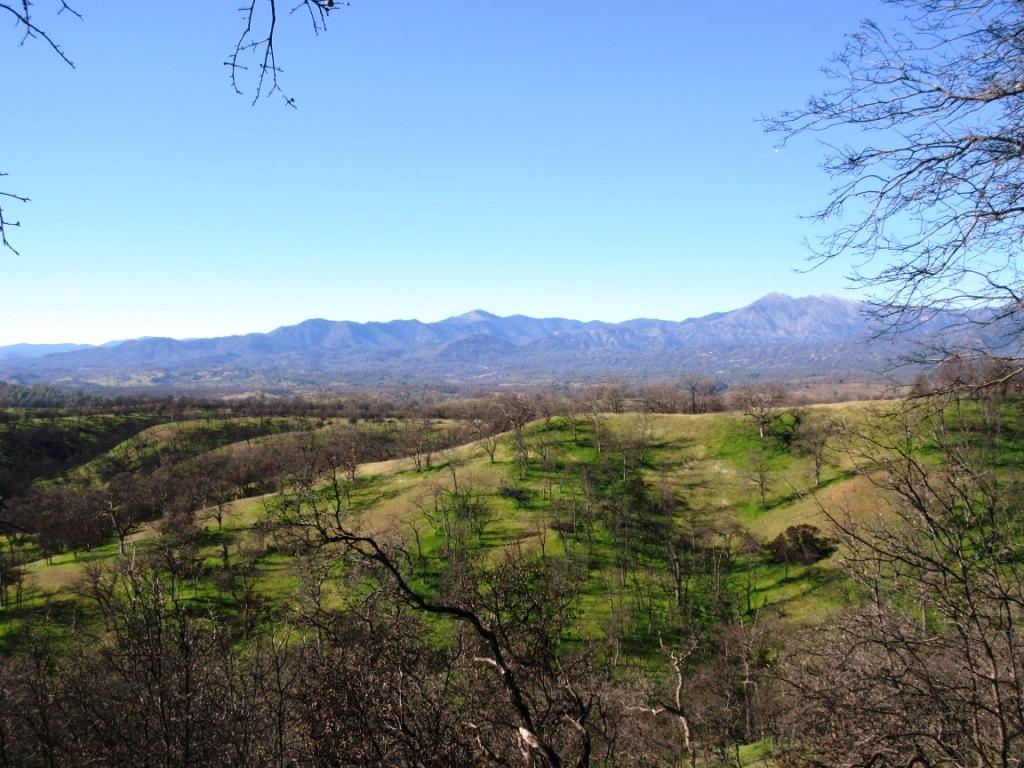 12753 Gas Point Road Igo, CA 96047 - Photo 24 of 40 IMG_0419