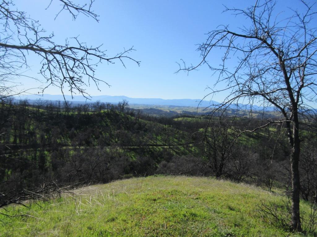 12753 Gas Point Road Igo, CA 96047 - Photo 25 of 40 IMG_0420