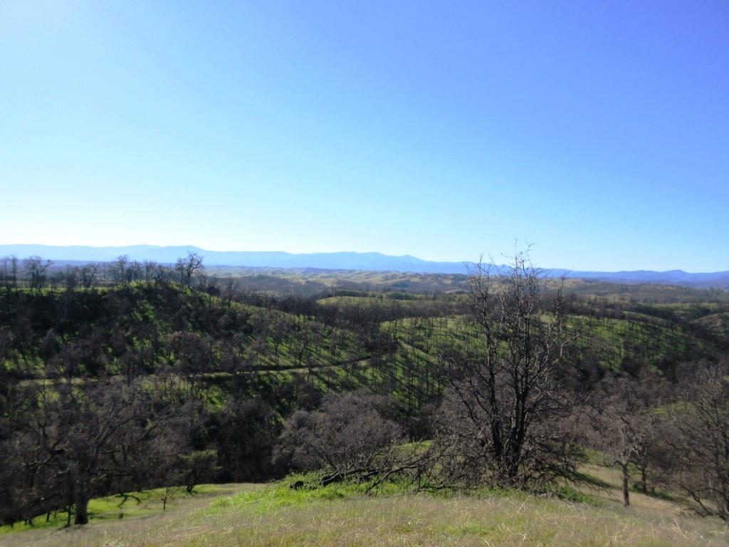 12753 Gas Point Road Igo, CA 96047 - Photo 26 of 40 IMG_0421