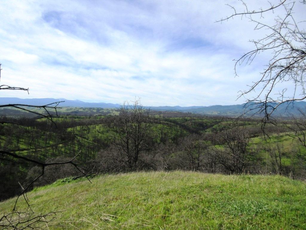 12753 Gas Point Road Igo, CA 96047 - Photo 33 of 40 IMG_0489