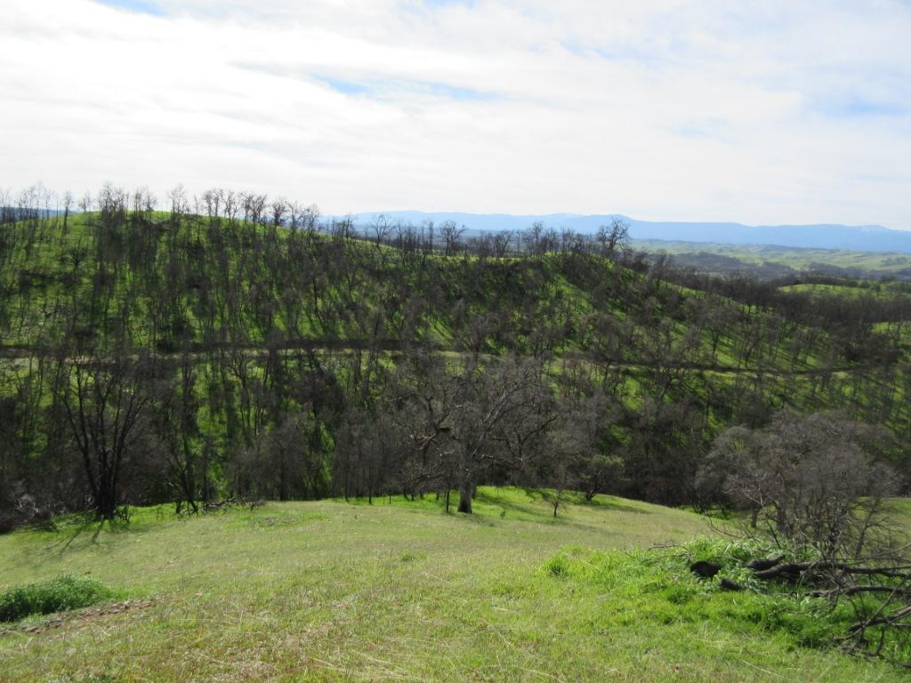 12753 Gas Point Road Igo, CA 96047 - Photo 34 of 40 IMG_0490