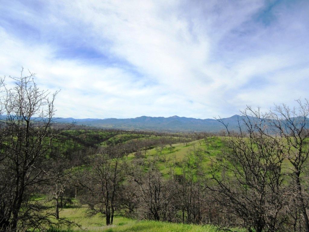 12753 Gas Point Road Igo, CA 96047 - Photo 35 of 40 IMG_0491