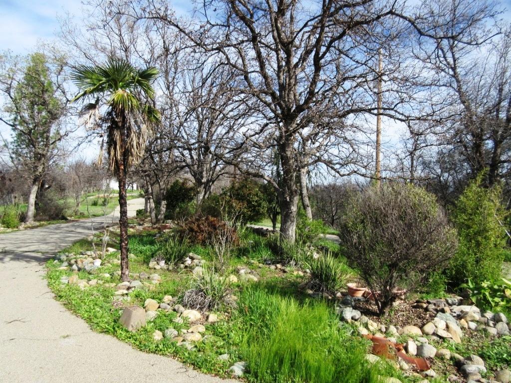 12753 Gas Point Road Igo, CA 96047 - Photo 37 of 40 IMG_0495