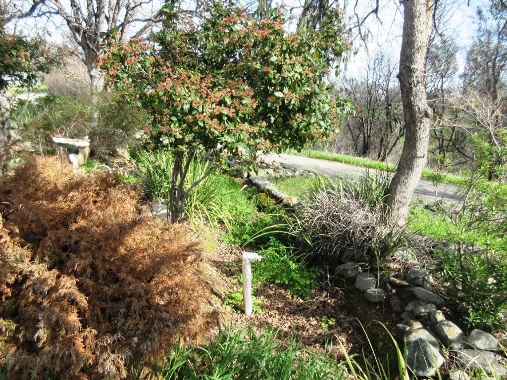 12753 Gas Point Road Igo, CA 96047 - Photo 38 of 40 IMG_0496