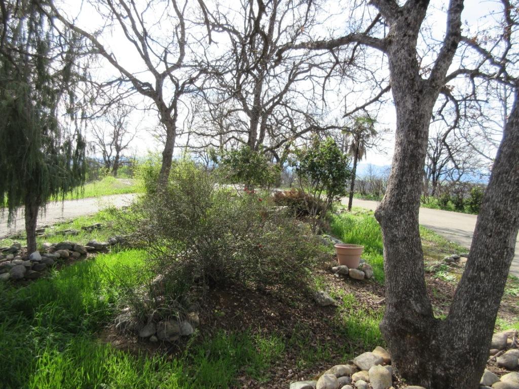 12753 Gas Point Road Igo, CA 96047 - Photo 39 of 40 IMG_0497