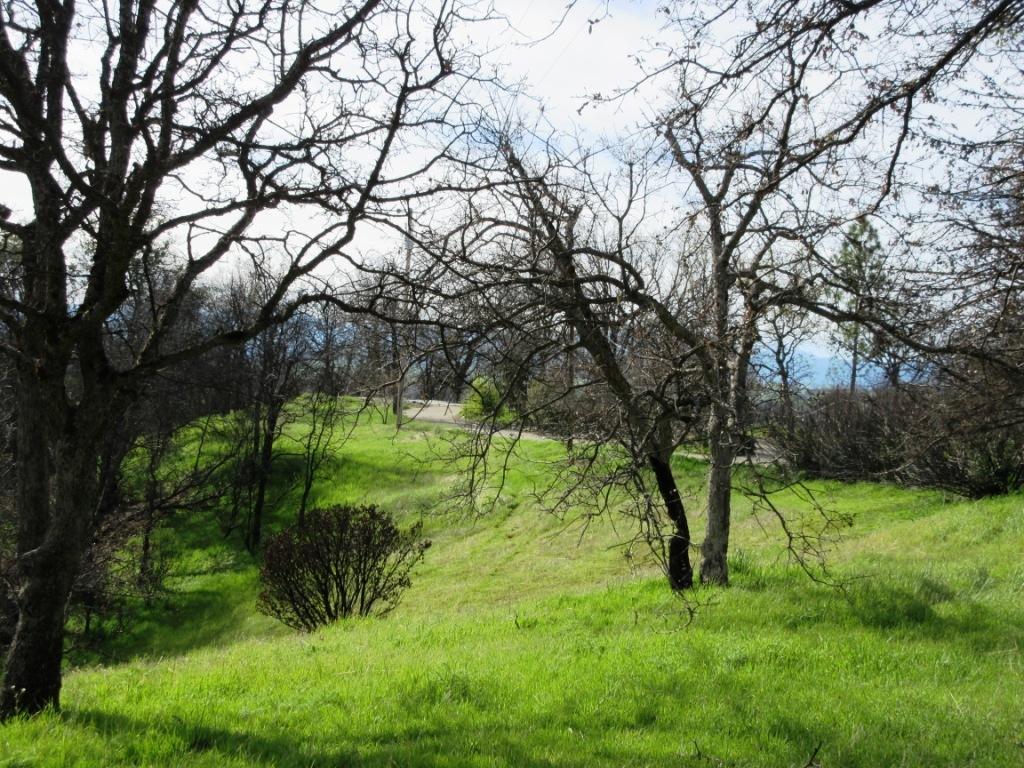 12753 Gas Point Road Igo, CA 96047 - Photo 40 of 40 IMG_0501