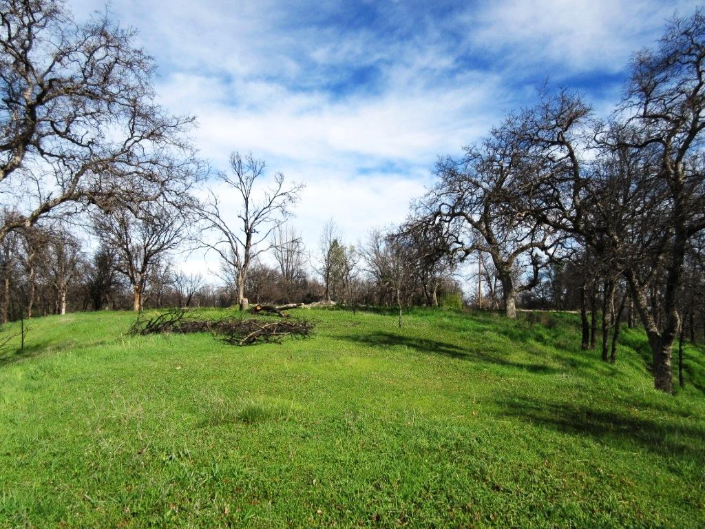 12753 Gas Point Road Igo, CA 96047 - Photo 8 of 40 IMG_0487