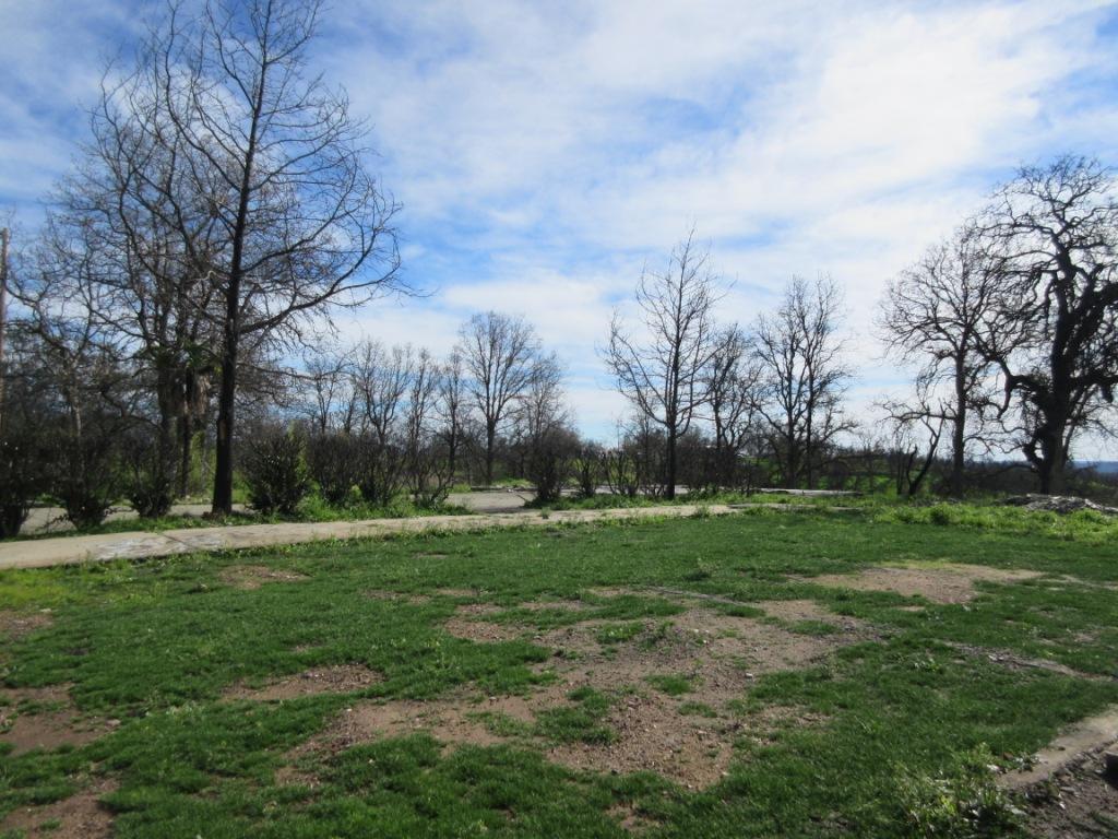 12753 Gas Point Road Igo, CA 96047 - Photo 10 of 40 IMG_0493