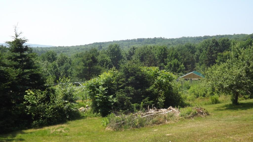47 Pitcher Road Northport, ME 04849 - Photo 26 of 35 Photo