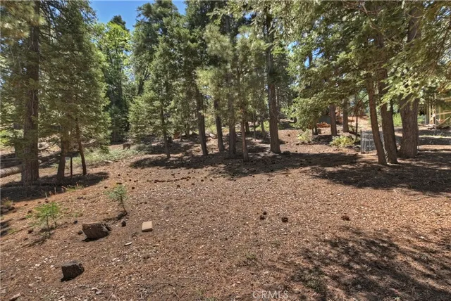a view of outdoor space and yard