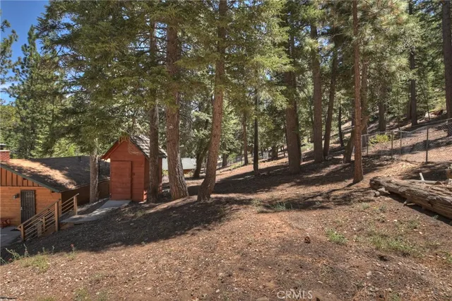 a view of a tree in the middle of a yard