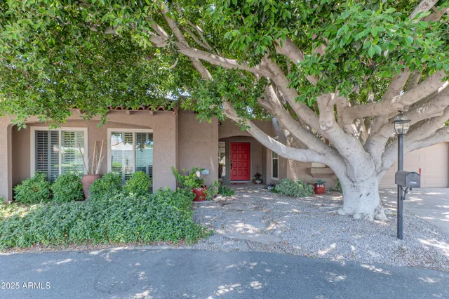 a house that has a tree in front of it