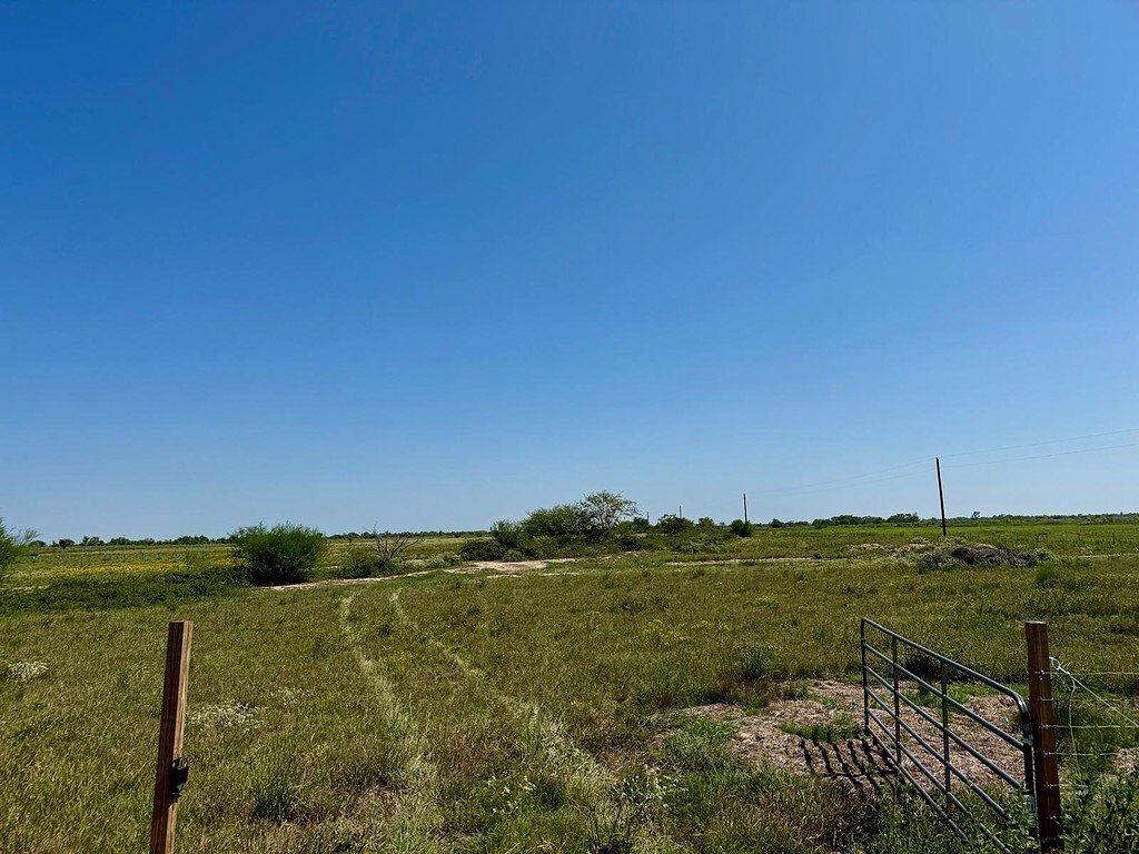 1993 FM 2761 Road Cat Spring, TX 78933 - Photo 2 of 10