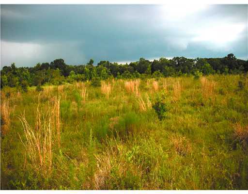 Nkn Basin Refuge Road Lucedale, MS 39452 - Photo 1 of 16 Primary Photo