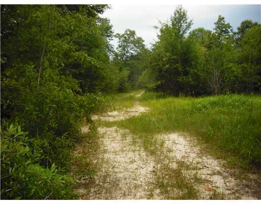 Nkn Basin Refuge Road Lucedale, MS 39452 - Photo 11 of 16 Additional Photo