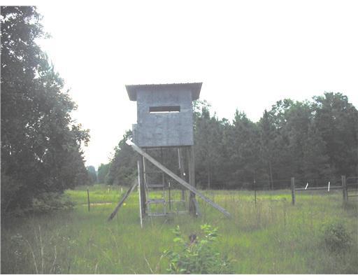 Nkn Basin Refuge Road Lucedale, MS 39452 - Photo 13 of 16 Additional Photo