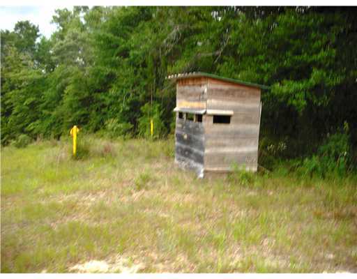 Nkn Basin Refuge Road Lucedale, MS 39452 - Photo 2 of 16 Additional Photo
