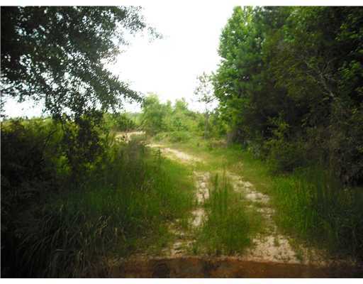 Nkn Basin Refuge Road Lucedale, MS 39452 - Photo 4 of 16 Additional Photo
