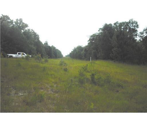 Nkn Basin Refuge Road Lucedale, MS 39452 - Photo 5 of 16 Additional Photo