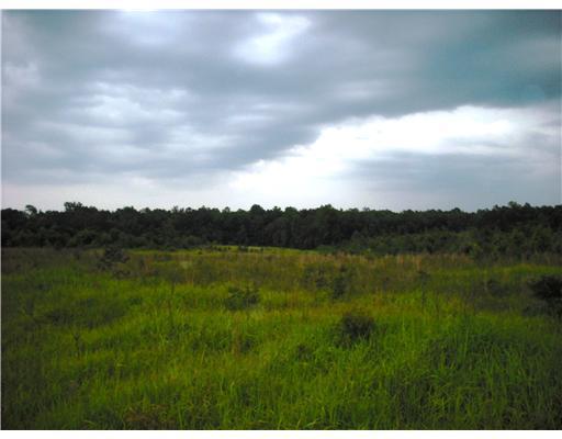 Nkn Basin Refuge Road Lucedale, MS 39452 - Photo 10 of 16 Additional Photo
