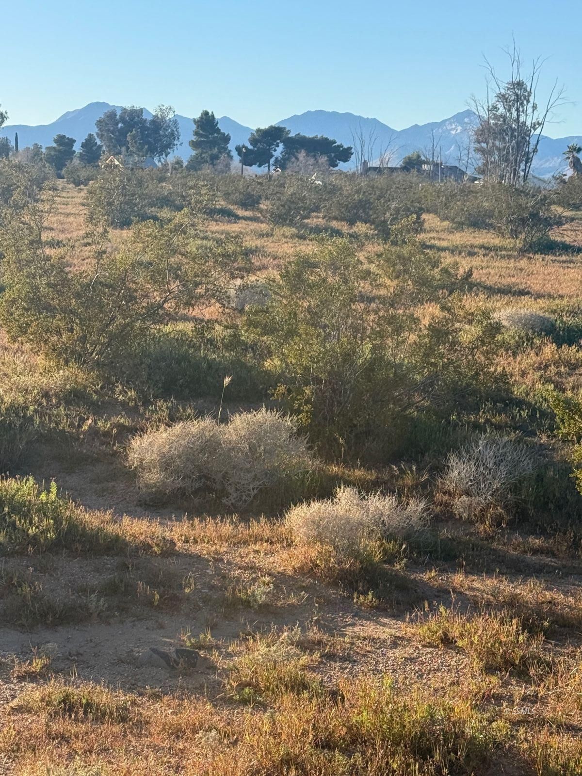 South Brady Street Ridgecrest, CA 93555 - Photo 3 of 8
