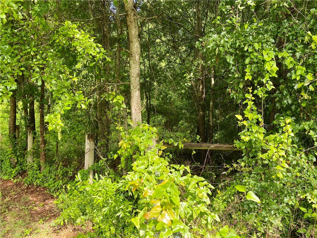 150 Harley Road Anderson, SC 29621 - Photo 2 of 6 Gallery Image 2