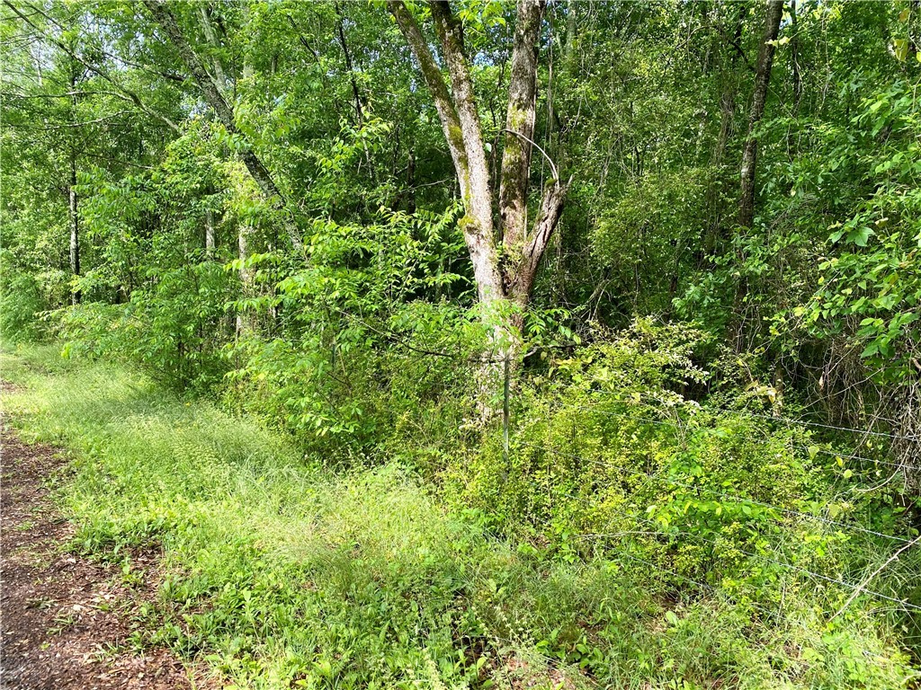 150 Harley Road Anderson, SC 29621 - Photo 4 of 6 Gallery Image 4