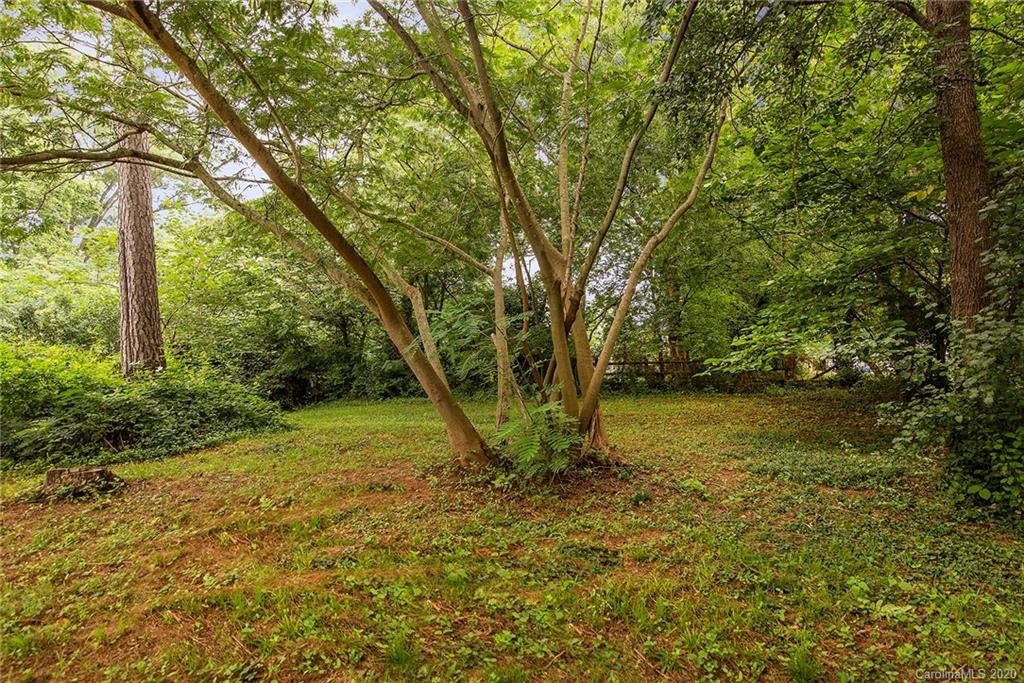 5720 Lawrence Orr Road Charlotte, NC 28212 - Photo 18 of 19 a view of a yard with a tree