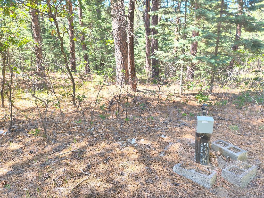 10940 Bartlett Trail Rye, CO 81069 - Photo 10 of 17