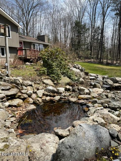76 Louden Bethlehem Road Otis, MA 01253 - Photo 7 of 54 a view of a yard with plants and large trees