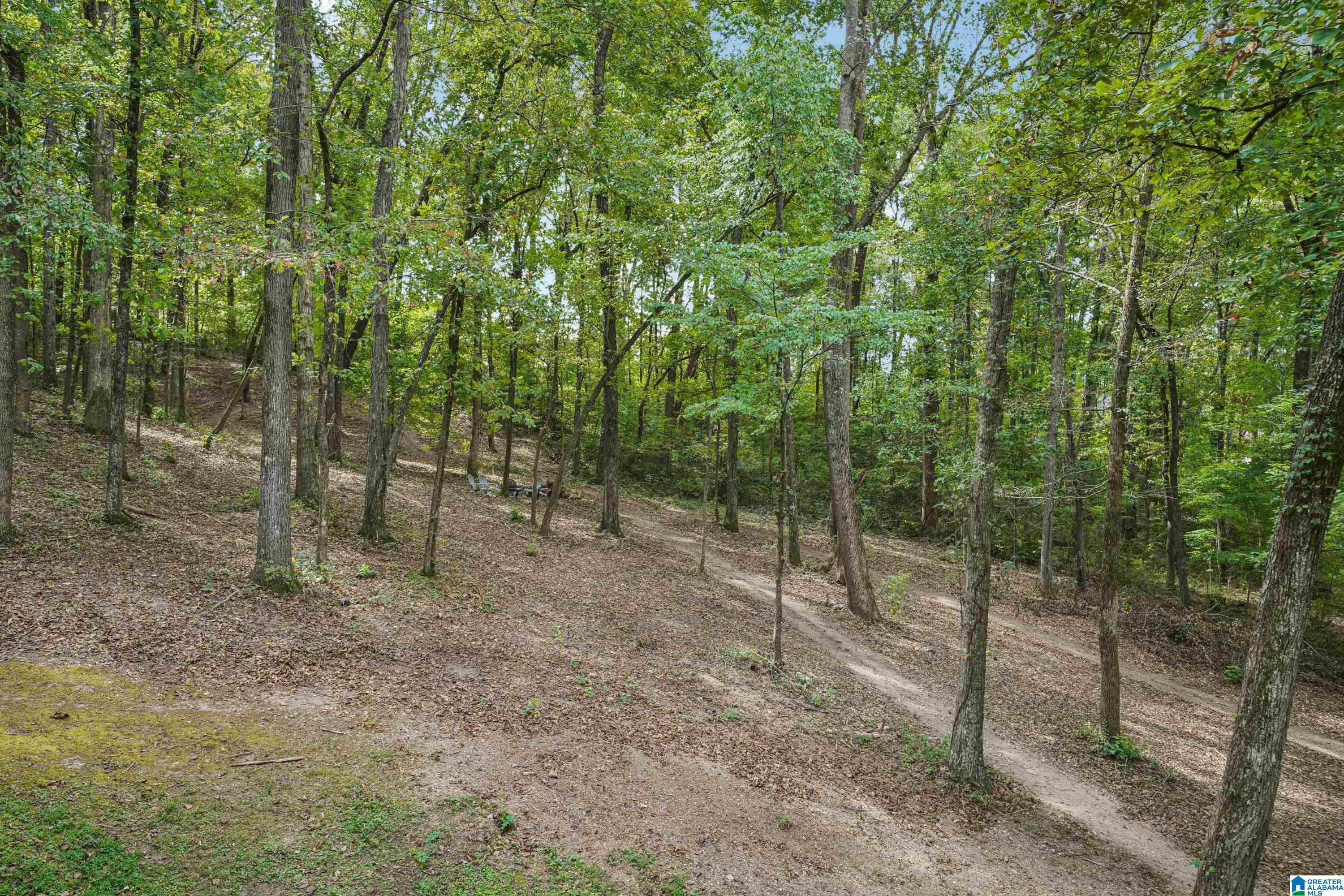 150 Virginia Street Oneonta, AL 35121 - Photo 47 of 62