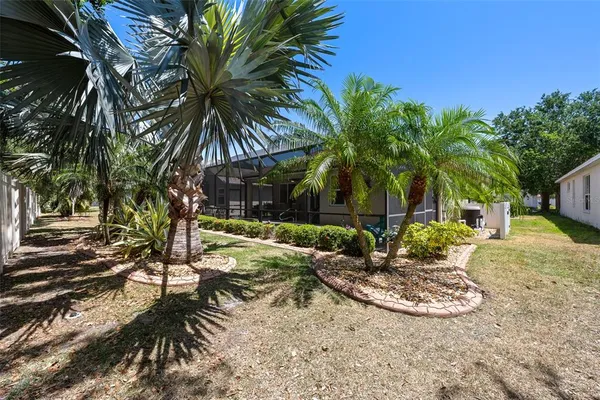a view of a backyard with palm trees