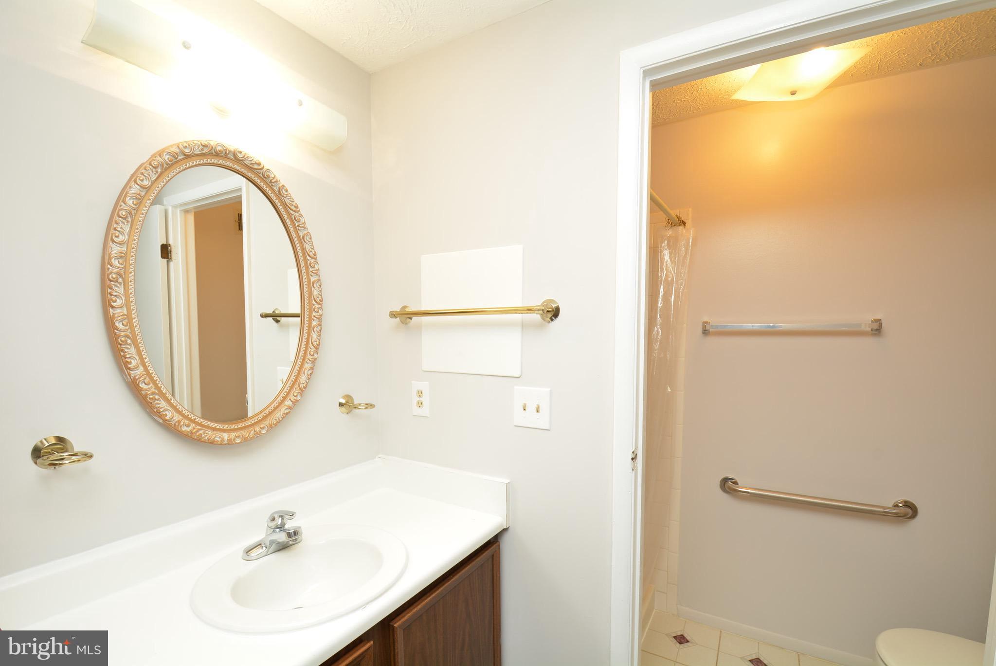 11555 Underoak Court Reston, VA 20191 - Photo 13 of 22 Full Master Bath - unique in this model