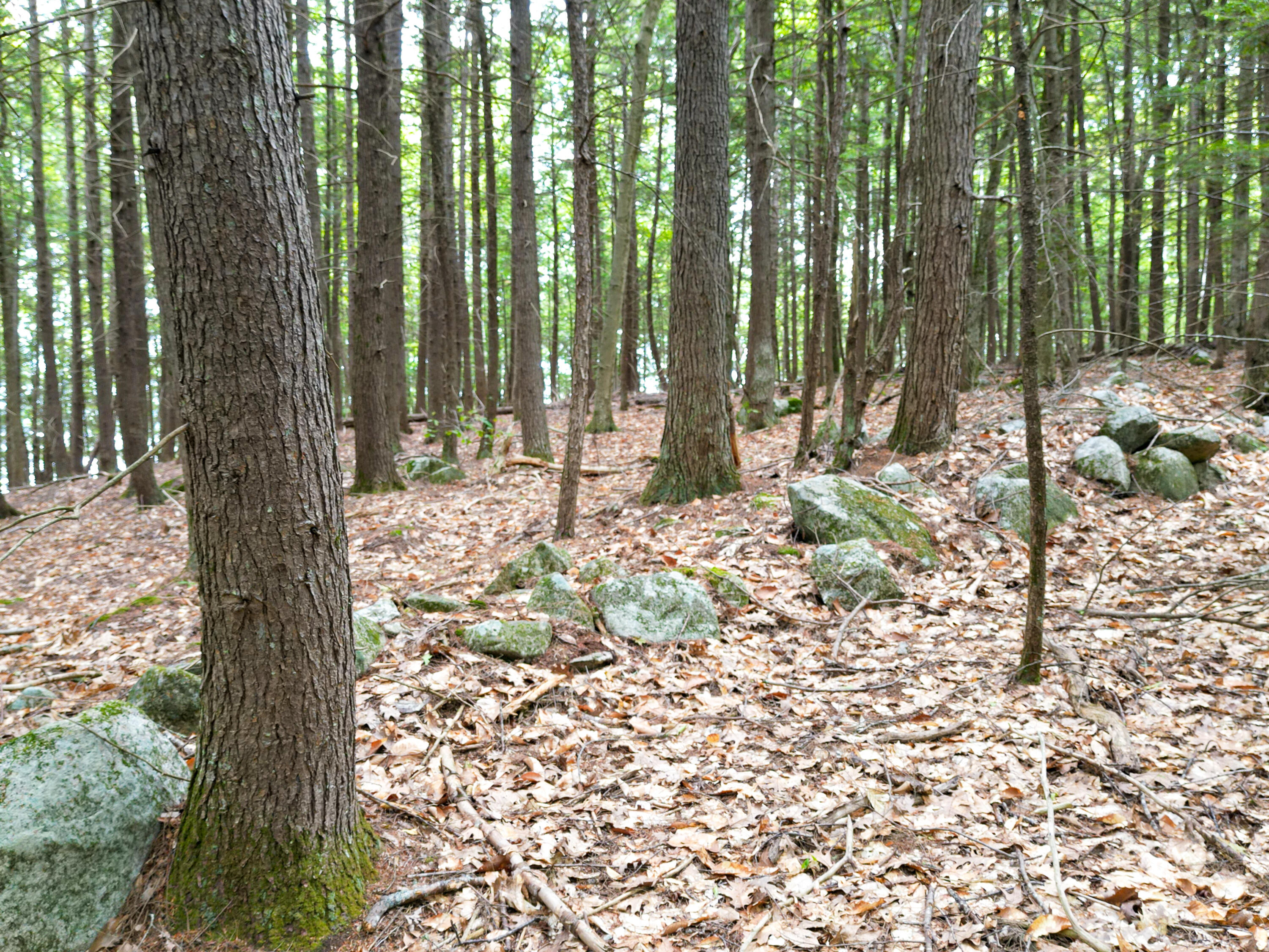 0 Osprey Point Belgrade, ME 04917 - Photo 23 of 23 110181gr-116