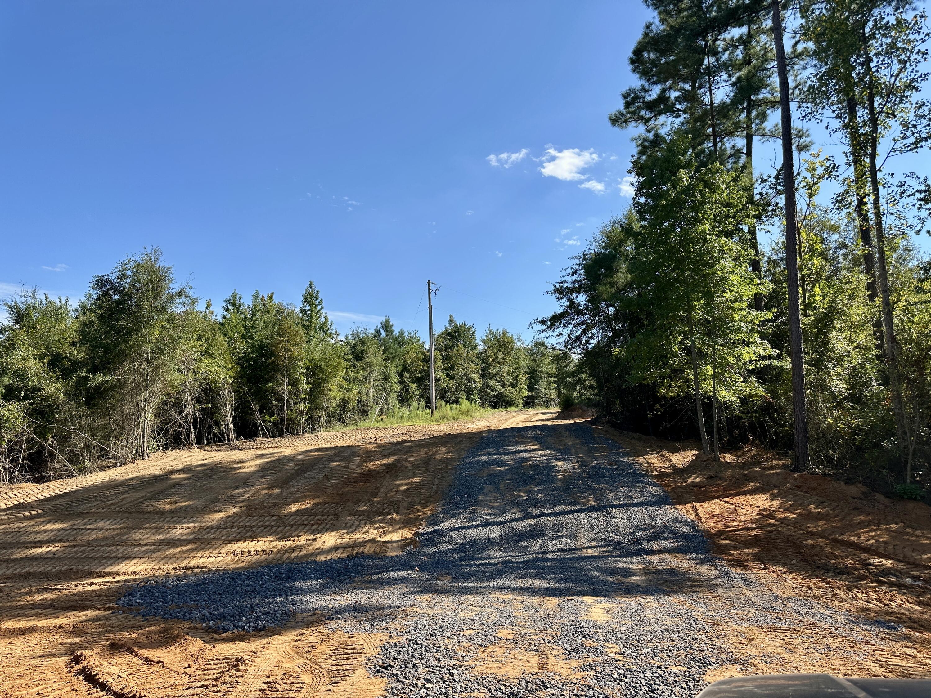 3021 Salley Road Salley, SC 29137 - Photo 35 of 73