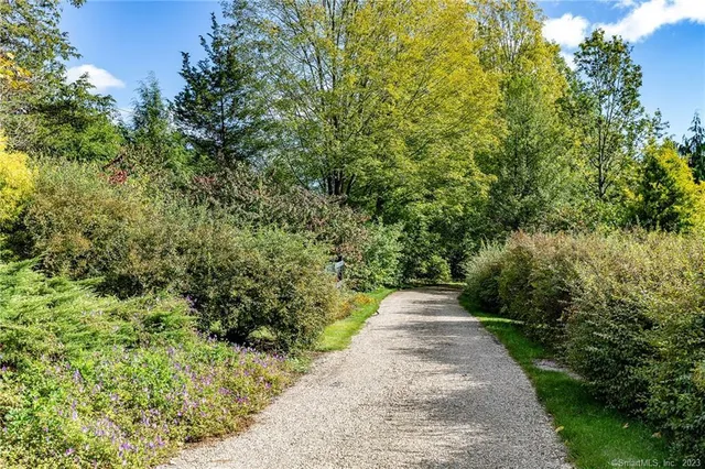 a view of a pathway both side of yard